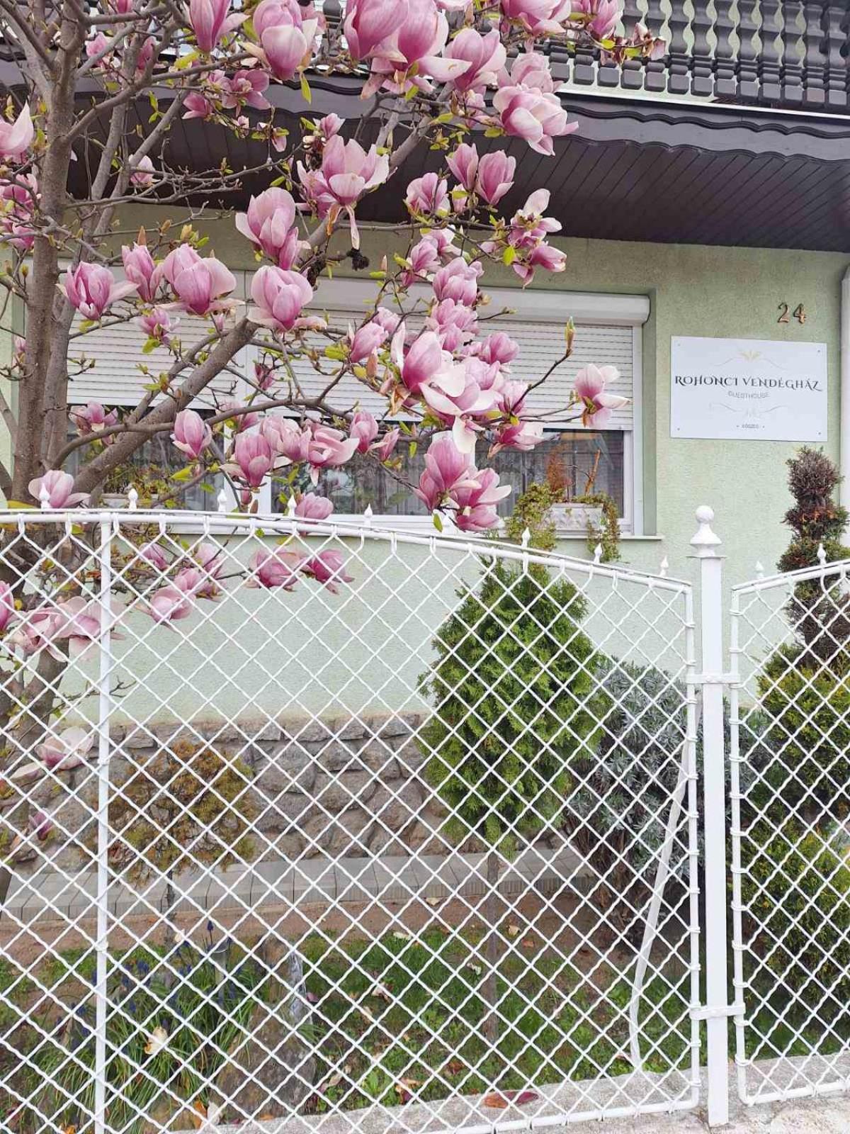 Rohonci Vendégház Kőszeg Exteriér fotografie