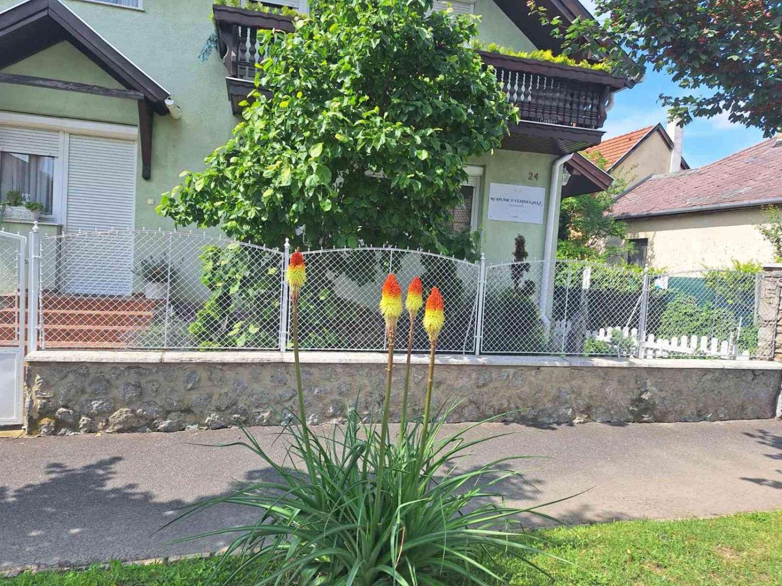 Rohonci Vendégház Kőszeg Exteriér fotografie