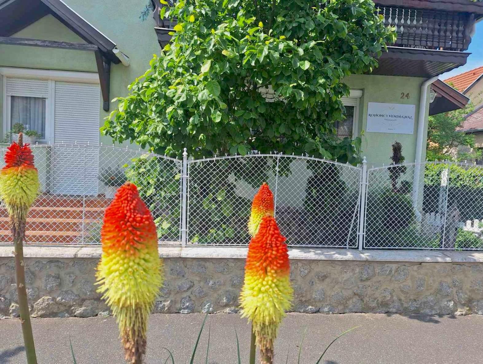 Rohonci Vendégház Kőszeg Exteriér fotografie